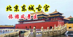大鸡巴插逼逼中国北京-东城古宫旅游风景区